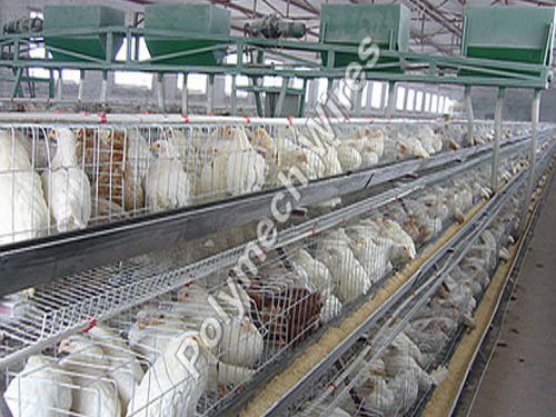 Layer Cage Welded Mesh