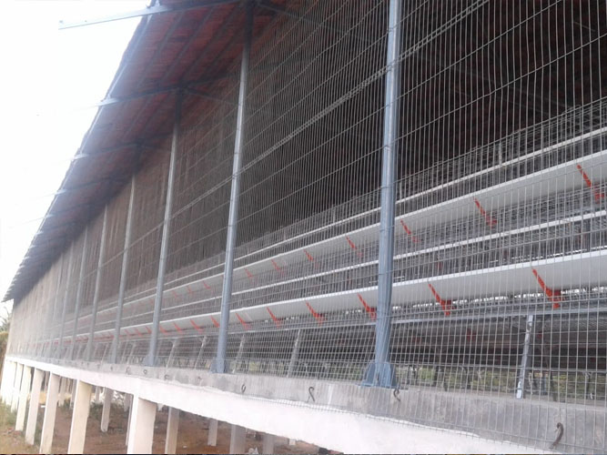 Poultry Weldmesh Partitions